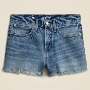 J. Crew Relaxed Denim Shorts in Baxter Street Wash Sz 31